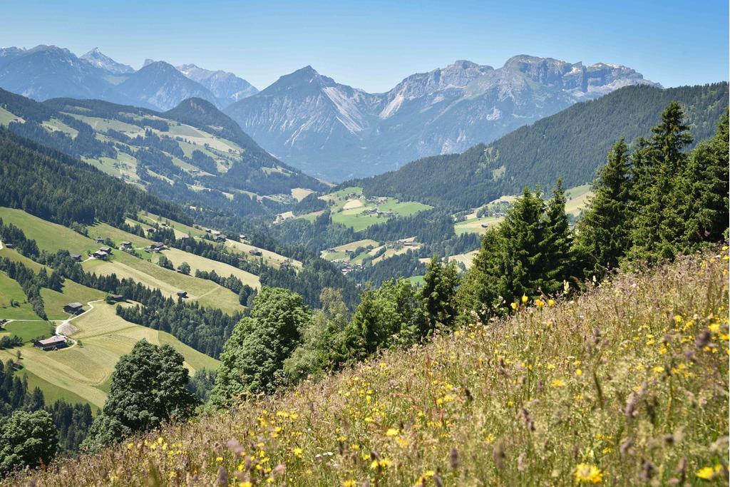 Blick Tal auswärts