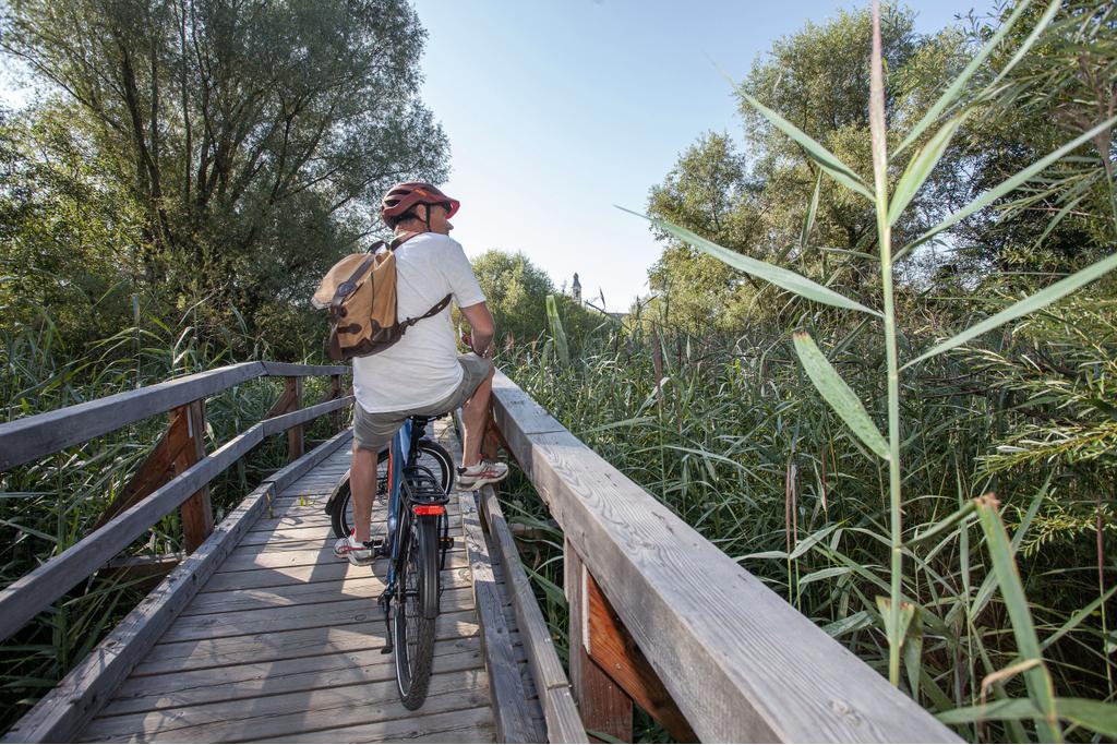 Radfahren am Antiesen-Radweg