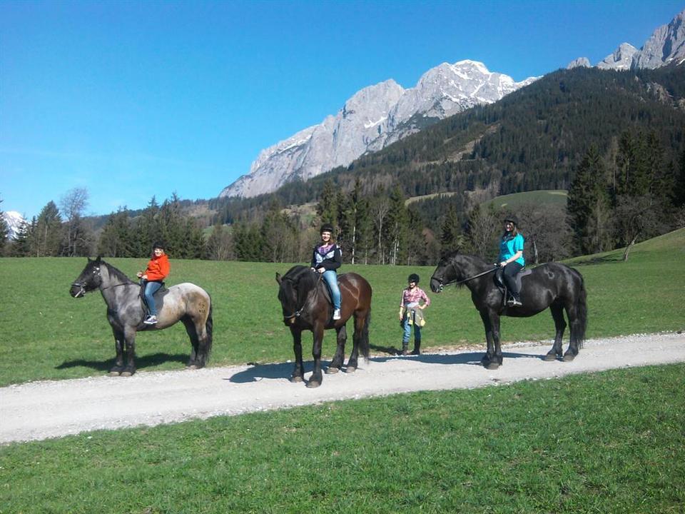 Reiten