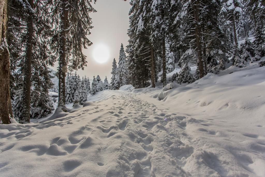 Winterlandschaft