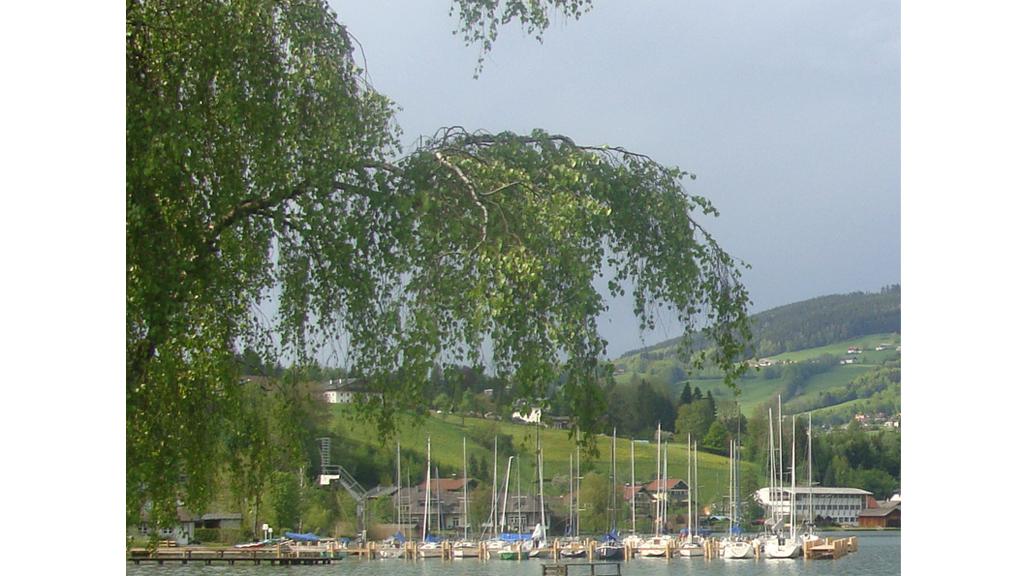 SCS Segelclub Schwarzindien