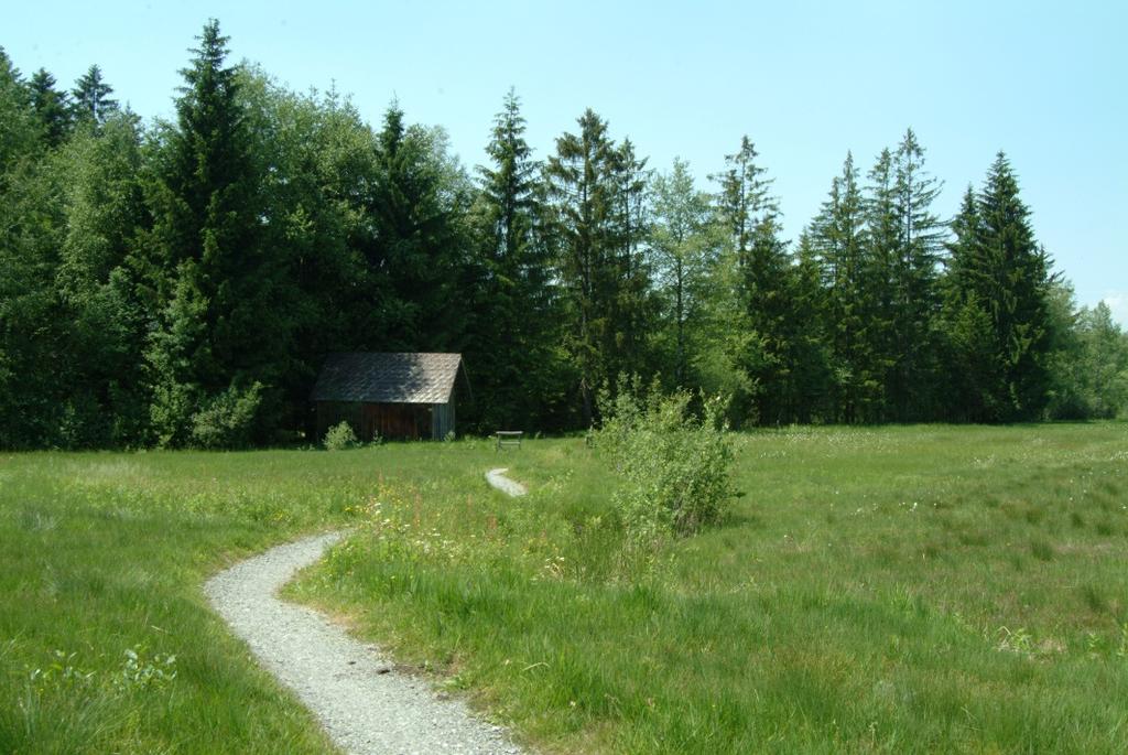 Langenegg