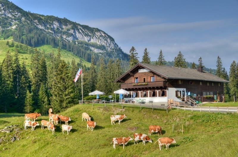 Ackernalm in Thiersee