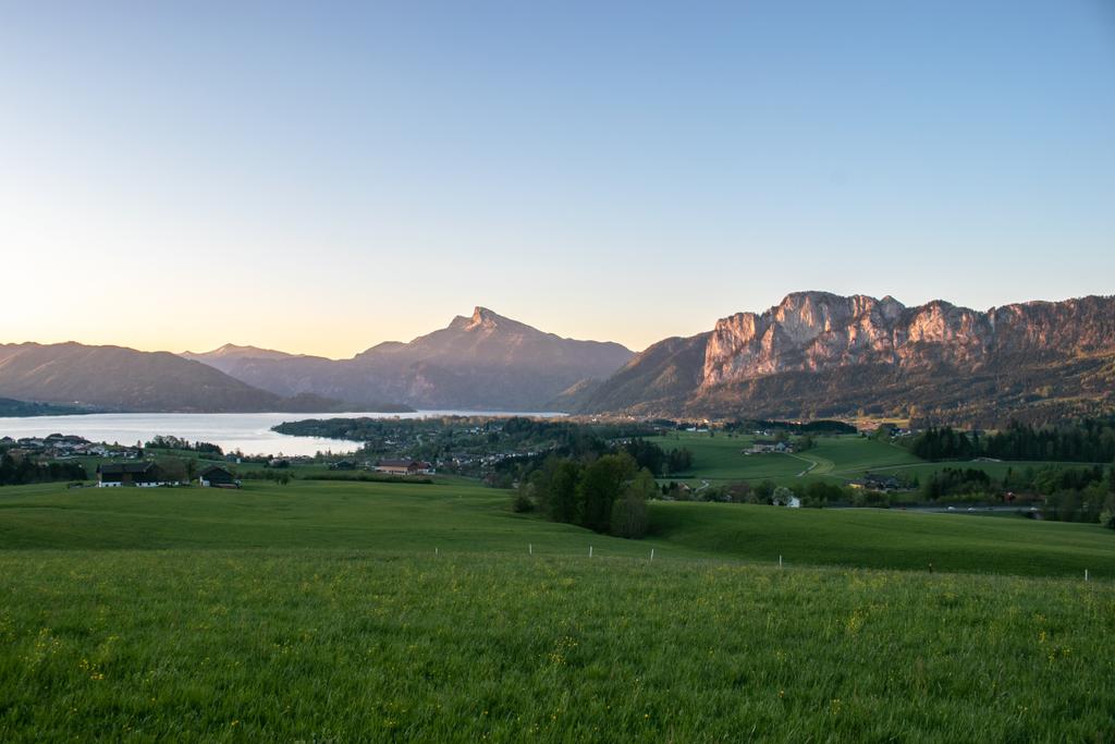 Frühling 2020 Kolomansberg_Leidingerhof  TVB Mondsee-Irrsee (5)