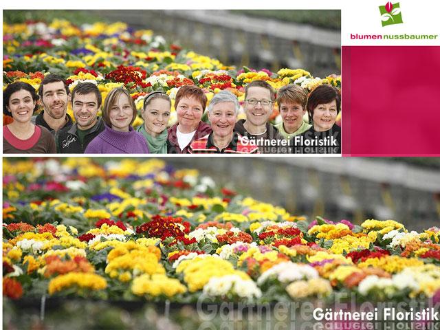 Blumen Nussbaumer - Gärtnerei & Floristik