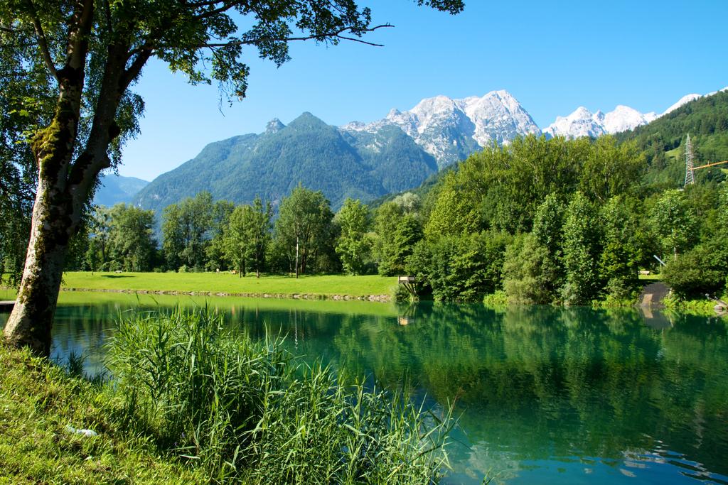 Bürgerausee