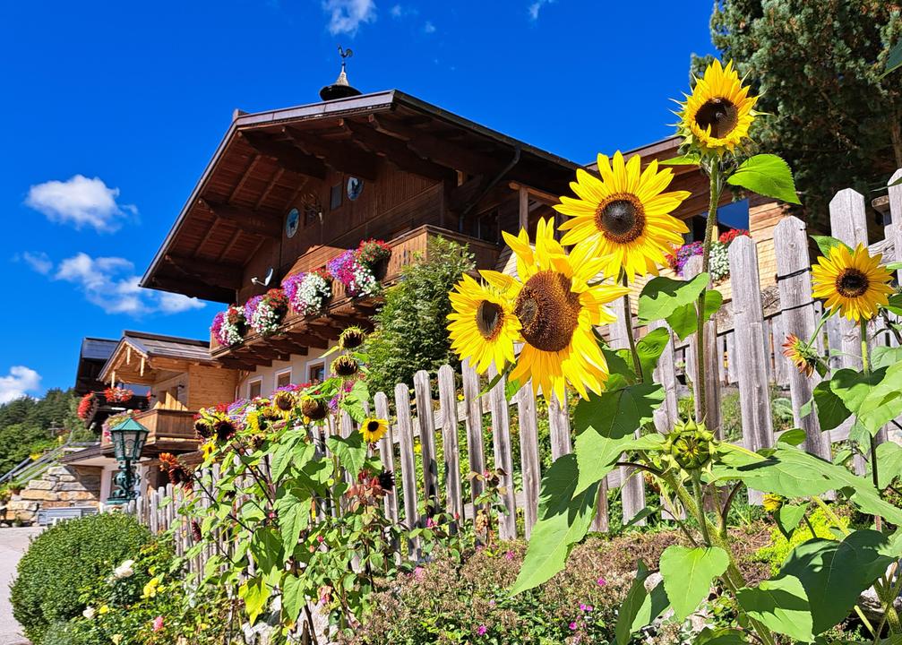 Eschbachhof-Sommer