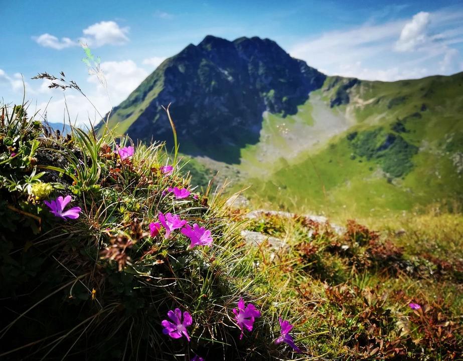 2018 Fieberbrunner Höhenweg - Blick auf den Bischof © Petra Astner (1).jpg