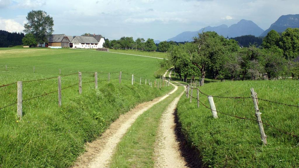 Stodertaler Panorama-Runde (RundWanderWelt Hinterstoder)
