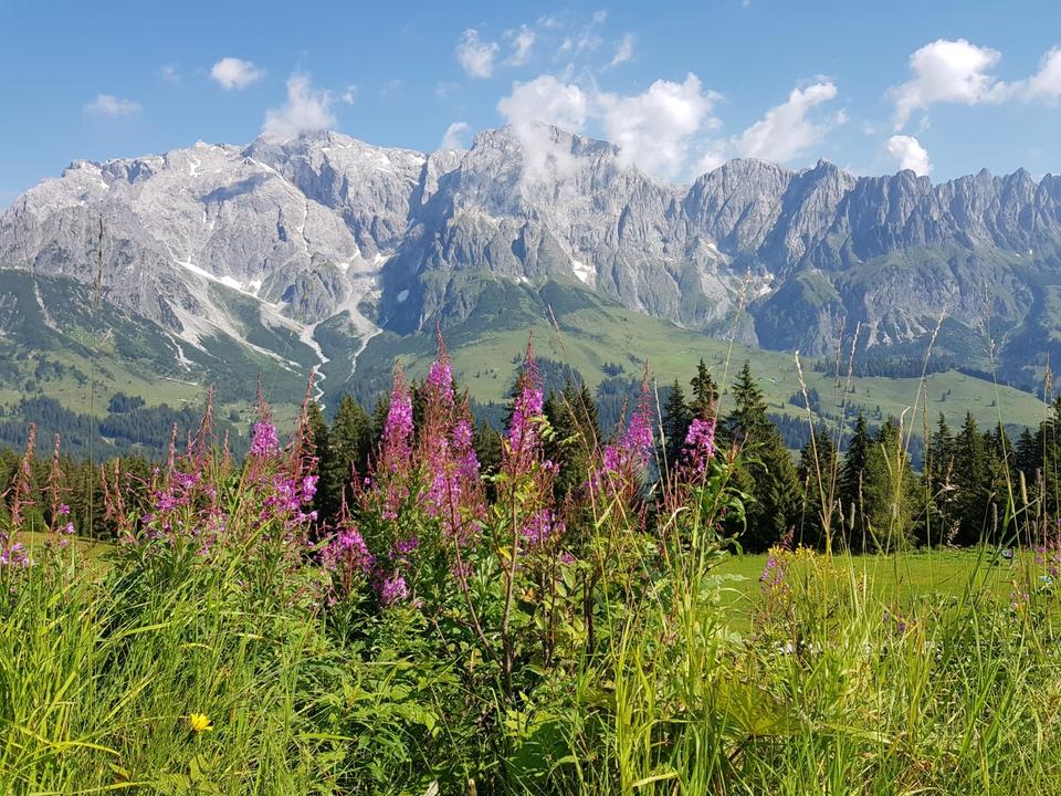 Panoramablick