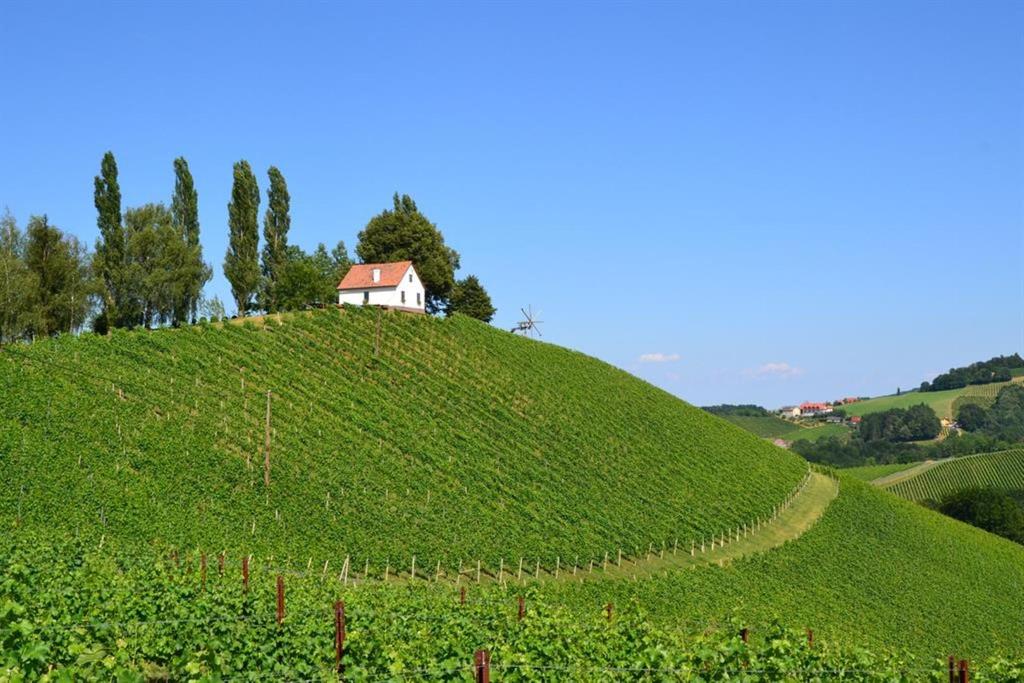 Weingut Adam-Schererkogl_