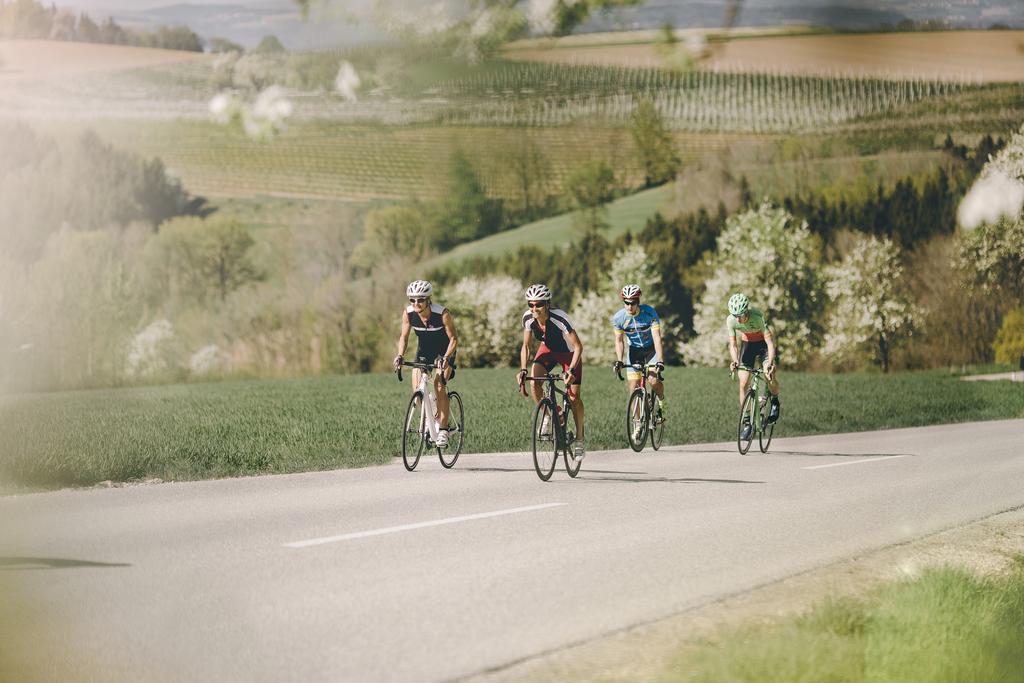 RennradfahrerstehendGruppeAlpenvorland_OberoesterreichTourismusGmbHStefanMayerhofer.jpg