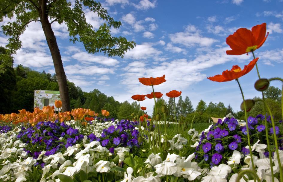 Botanica Park