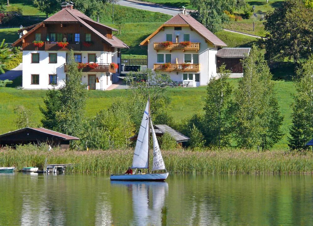 Walker-Seeschwalbe_Sommer