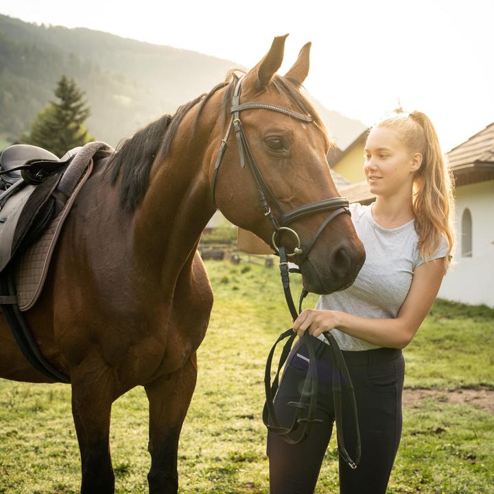 Reiten am GUTshof Trattlerhof