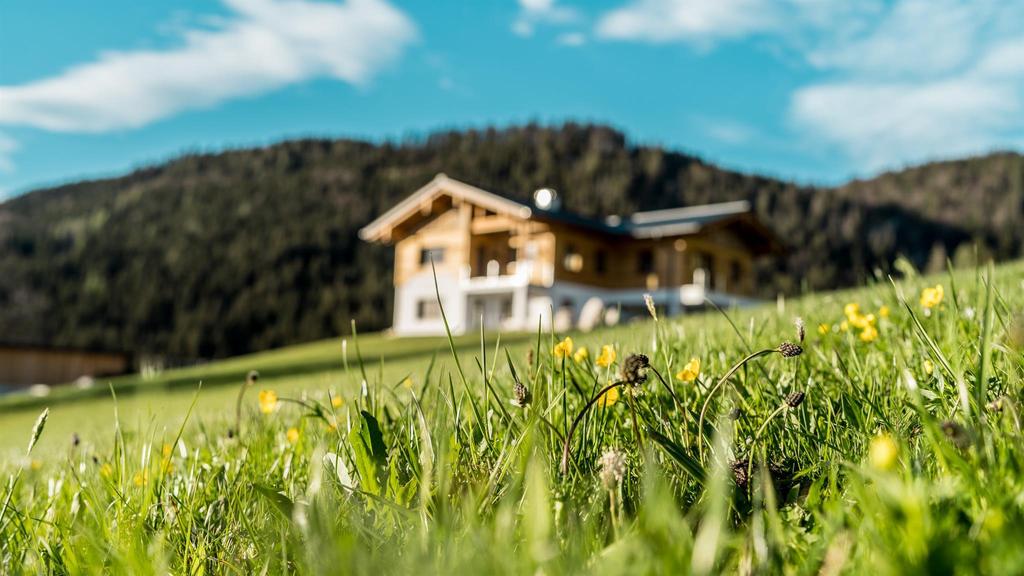 Neues Haus - Appartements