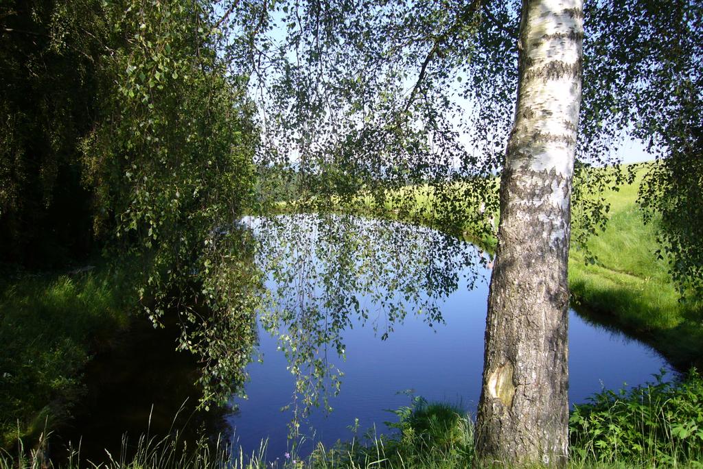 Fischteich