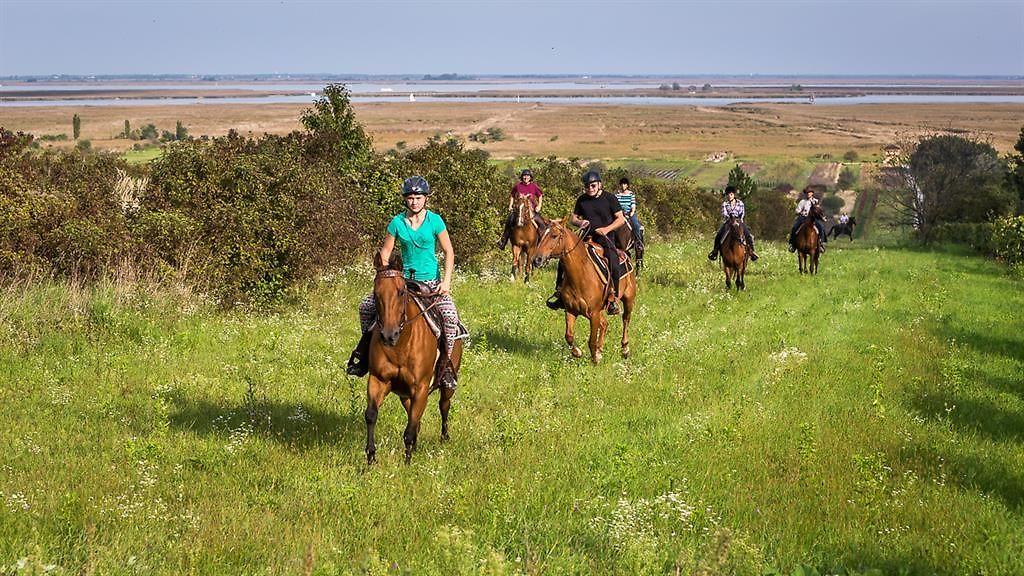 Golden View Ranch_Reiten mit Blick übern See