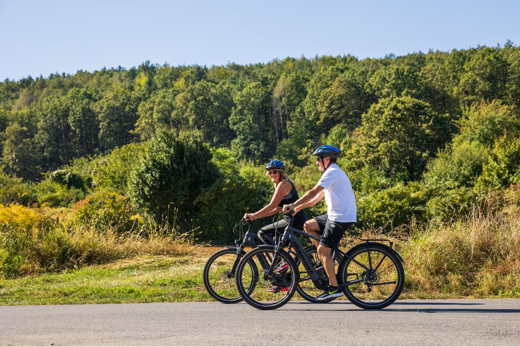 Radfahren zwischen Bad Sauerbrunn und Neudörfl