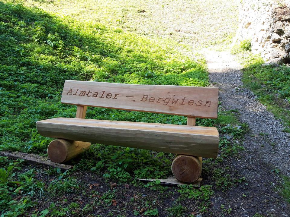 Almtaler Bergwiesn mit Rastbankerl
