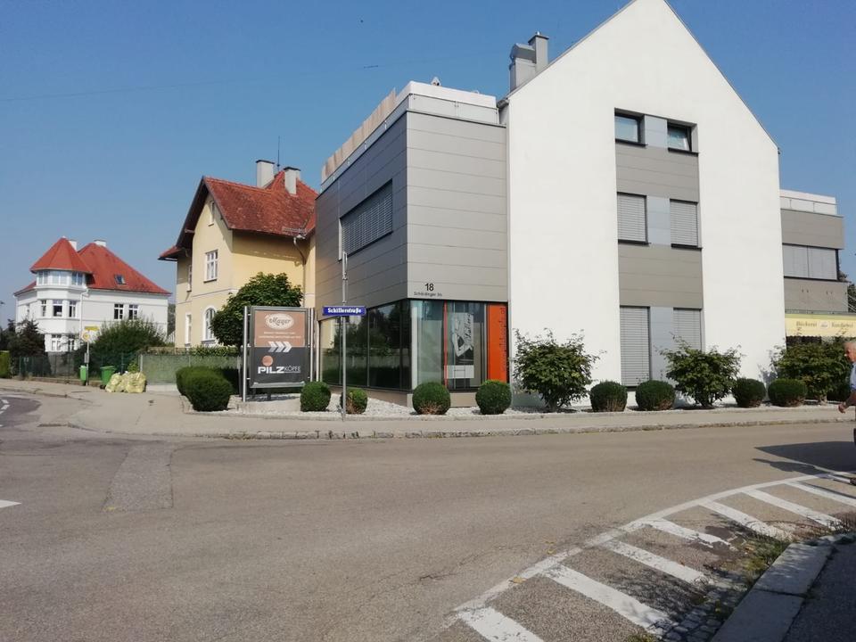 Pilzköpfe Haarstyling
