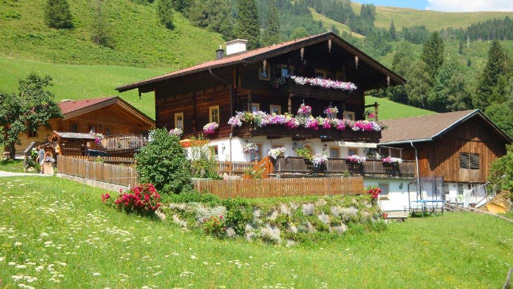 Leitenheimhof Sommer 2