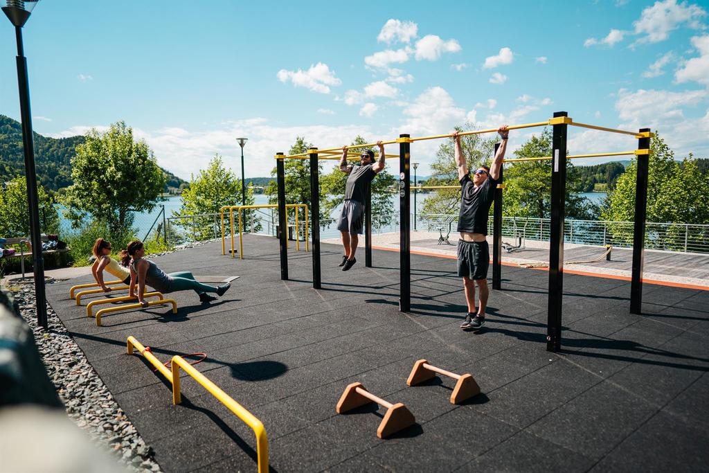 Calisthenics