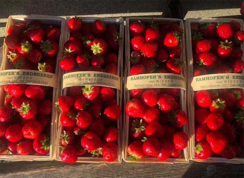 Erdbeeren Ramhofer