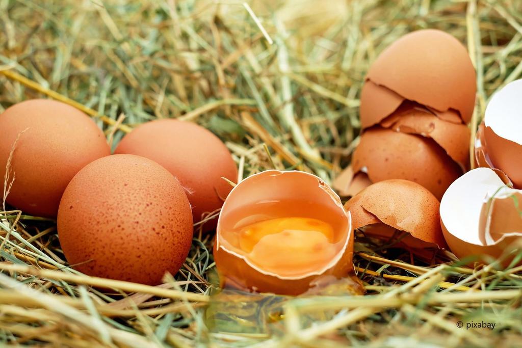 Eier (c)pixabay