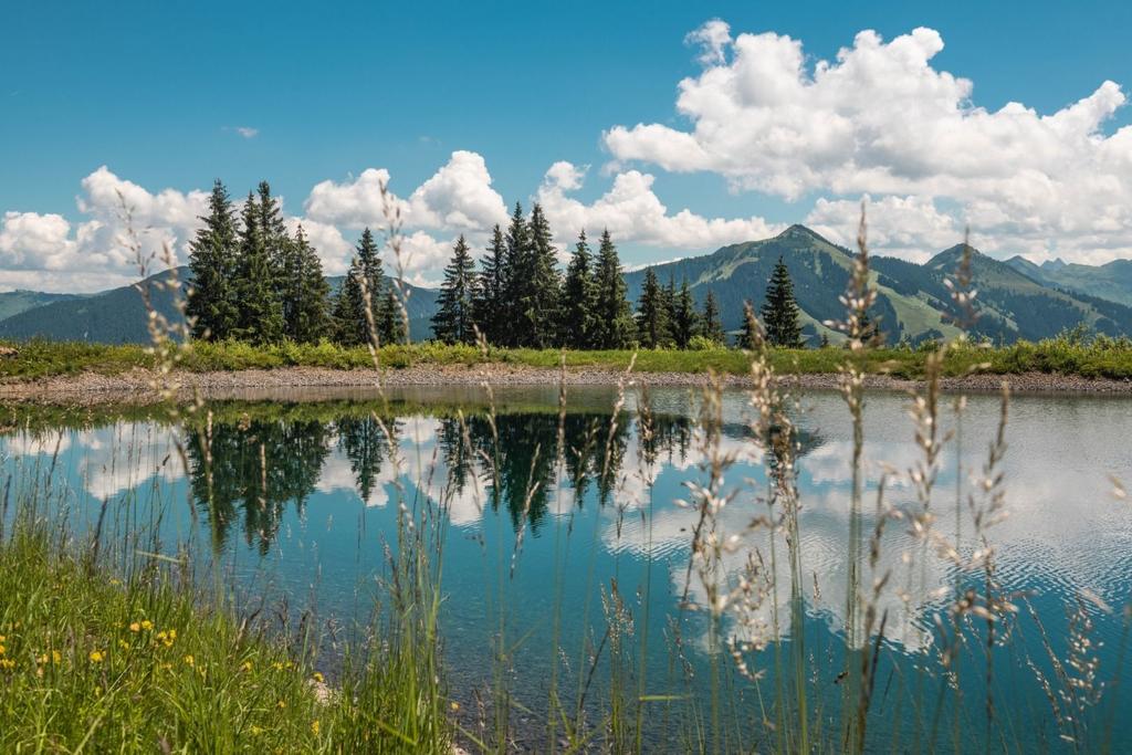 Hohe Salve Familie2018@Norbert Eisele-Hein30.jpg