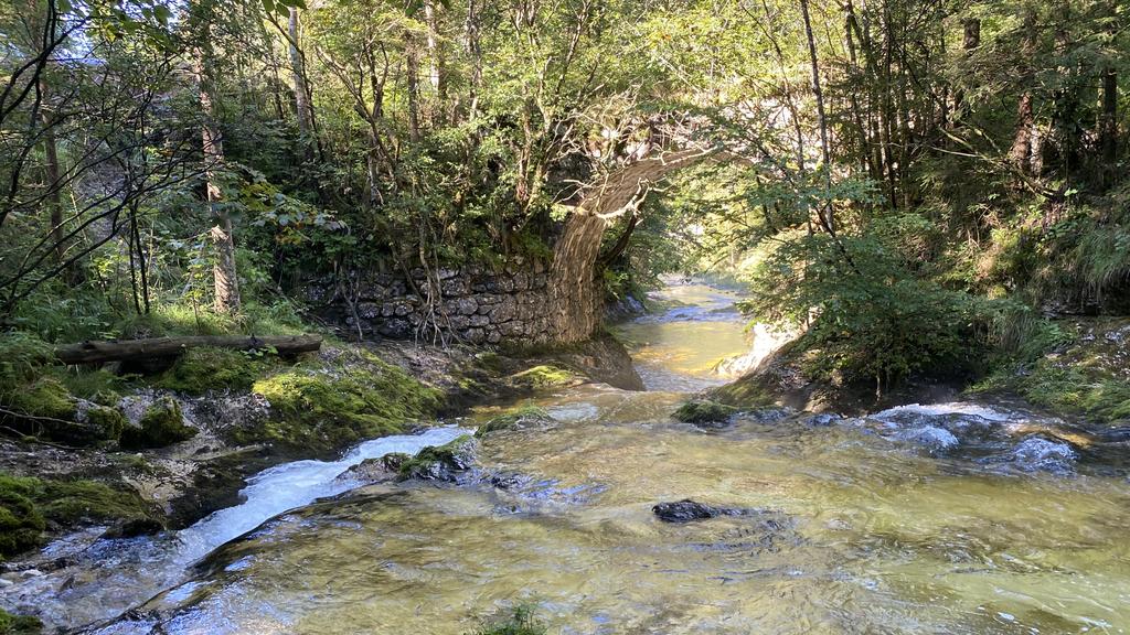 Gimbach Kaskaden Weissenbach