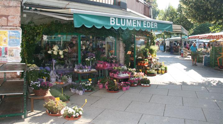 Blumen Eder