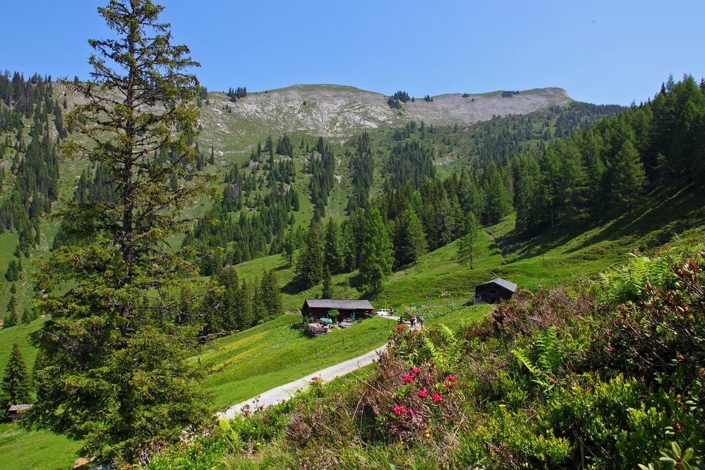 Karseggalm, 1.603 m