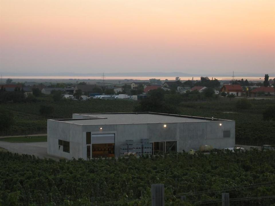 Weingut Abenddämmerung