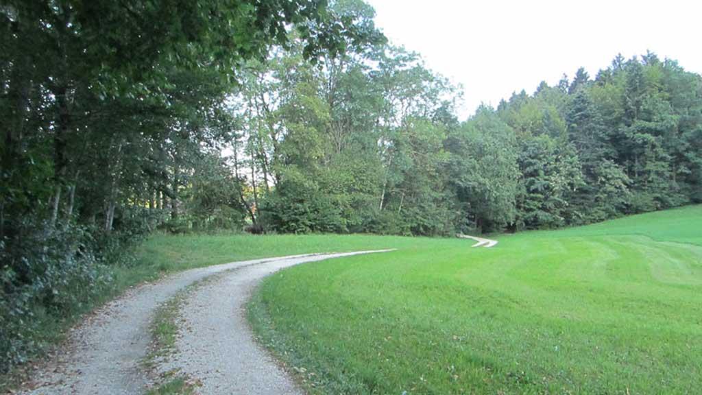 Weg entlang des Ritzingbaches