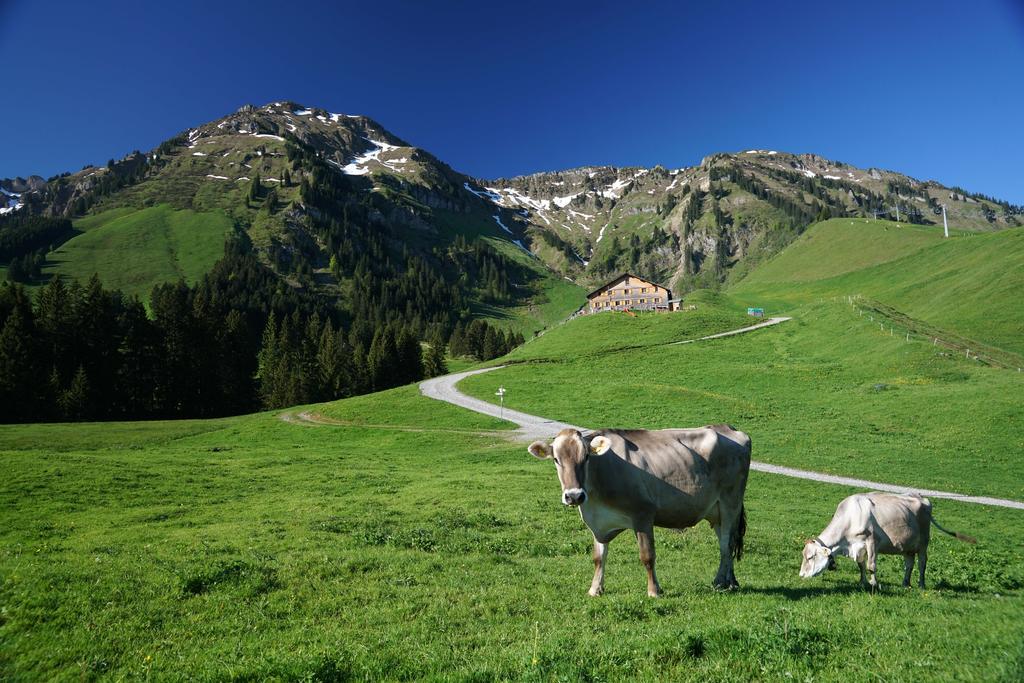 Alpe Brongen