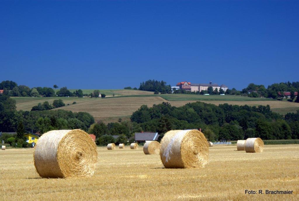 Zollfeld, Foto: Brachmaier