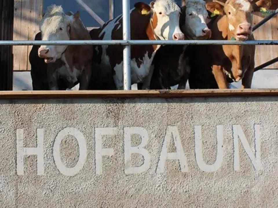 Biohhof Hofbaun