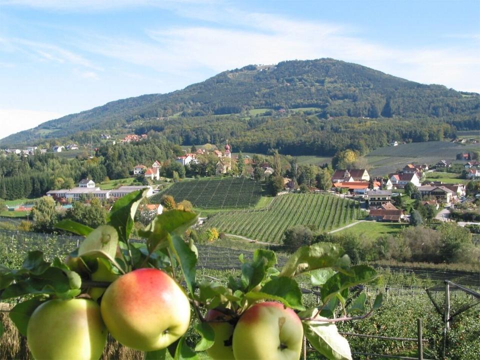 Apfeldorf Puch bei Weiz- Steirische Apfelstraße, ApfelLand- Stubenbergsee, Oststeiermark