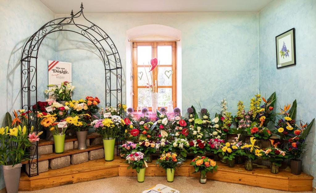 Schiffbänker Floristik