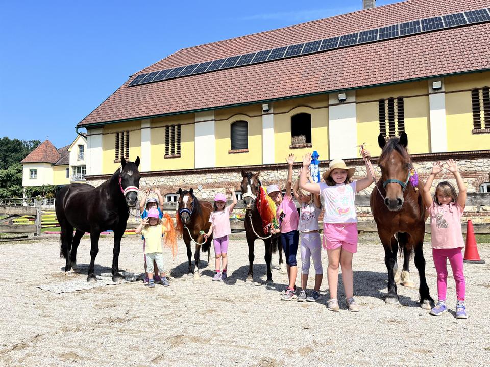 Ponycamps