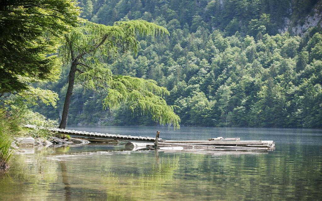Toplitzsee, Grundlsee, Idylle pur