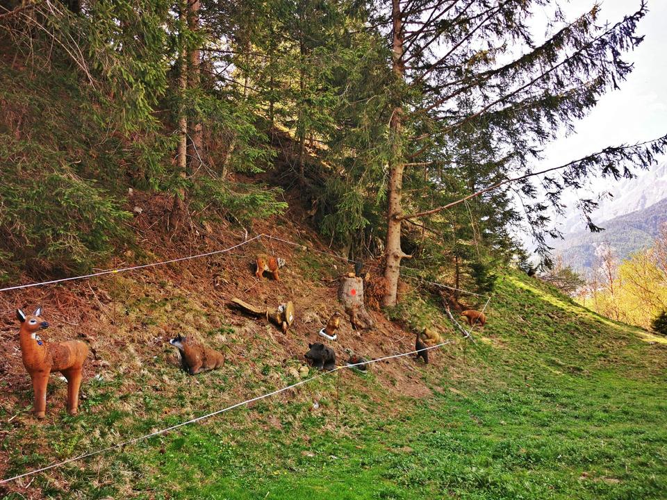 Bogenparcours Losach Tiere