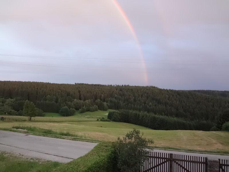 R6Breitlußerwald_800.jpg