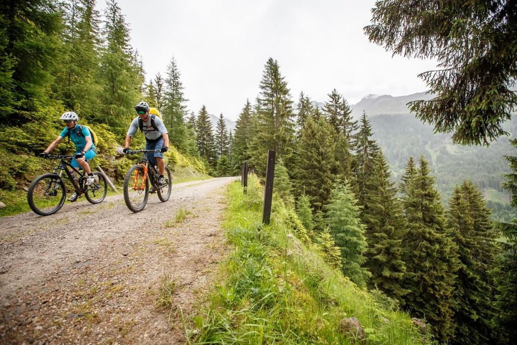 MTB Osttirol_Feldweg_Haiden Erwin (bikeboard.at).jpg