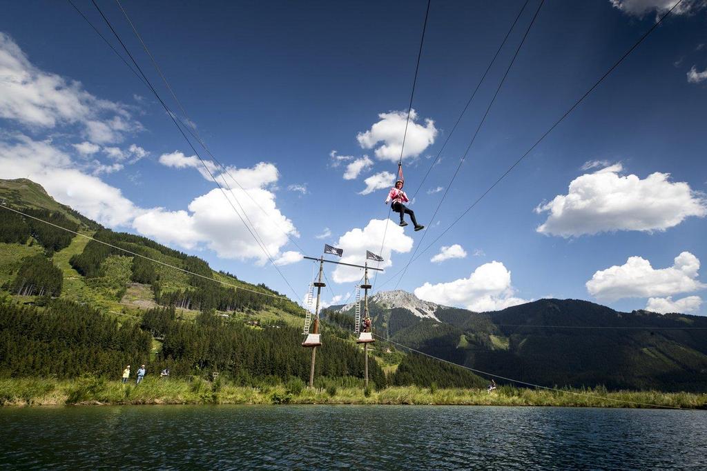 Flying Fox