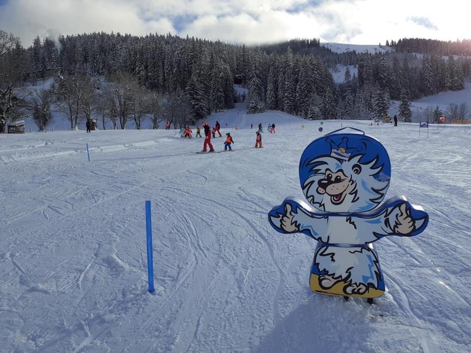 Piste Babylift Zachhof Dienten