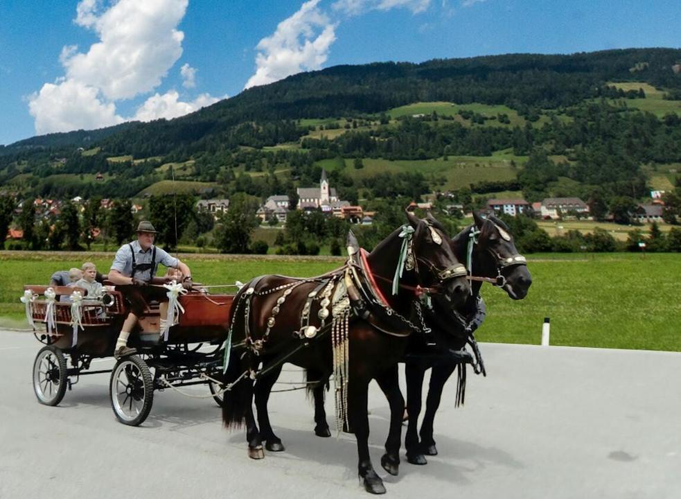 Pferdekutschenfahrt