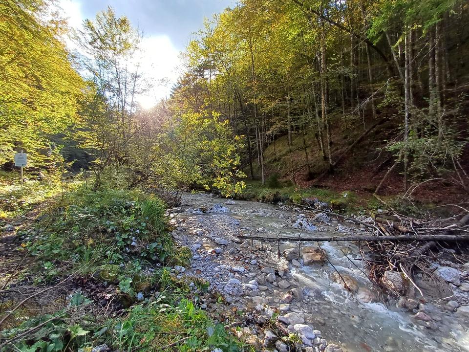 Herbstansichten