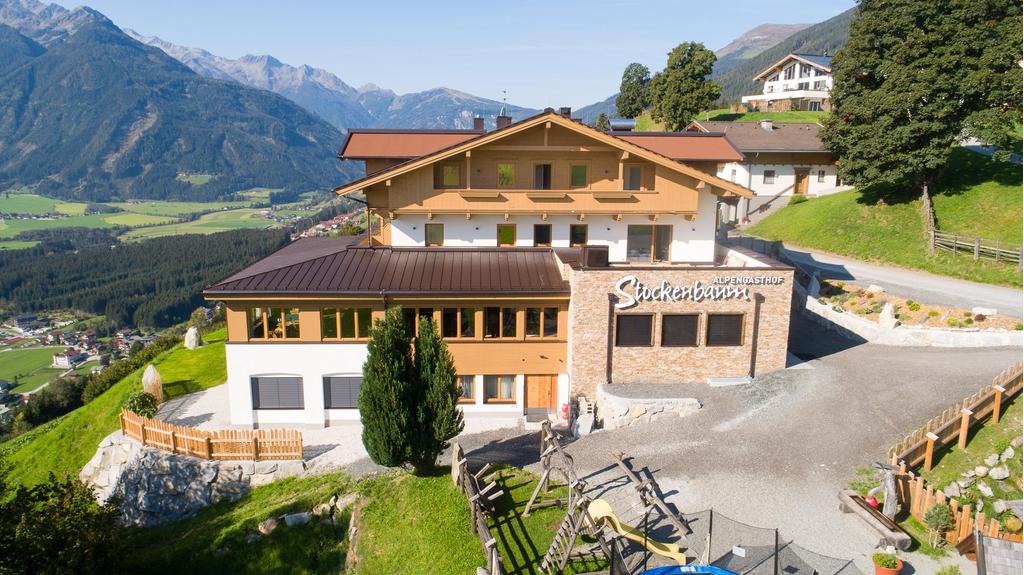 Stockenbaum im Sommer